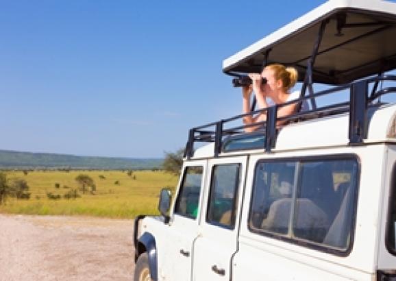 What accessories should you have on your next road trip?